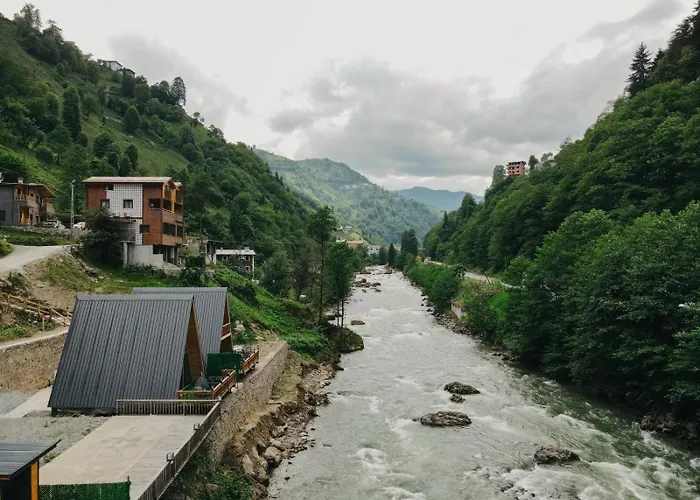 Molaverbungalov